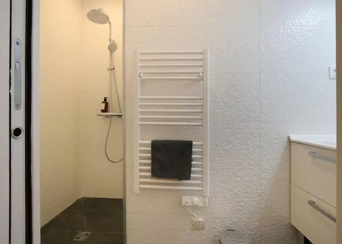 Hometimal - Capitole - Hypercenter - Terrace